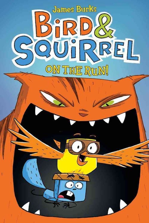 Produktbild: Bird & Squirrel on the Run!: A Graphic Novel (Bird & Squirrel #1)