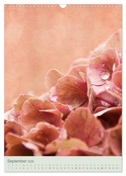 Produktbild: Flora (Wandkalender 2026 DIN A3 hoch), CALVENDO Monatskalender