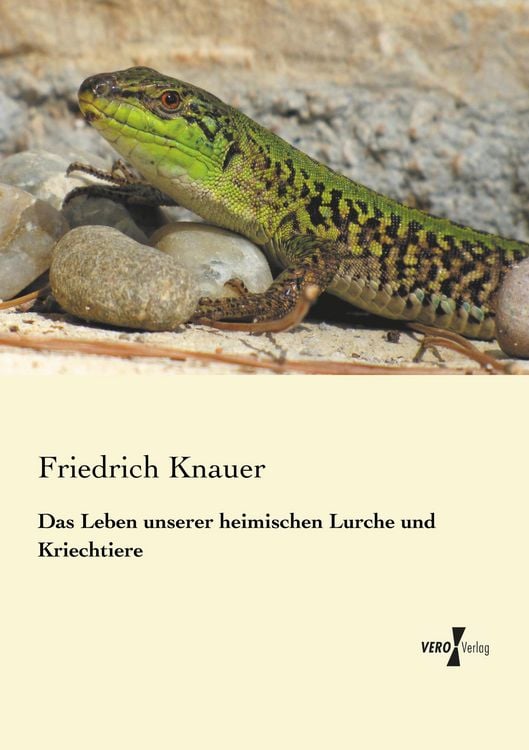 Produktbild: Das Leben unserer heimischen Lurche und Kriechtiere