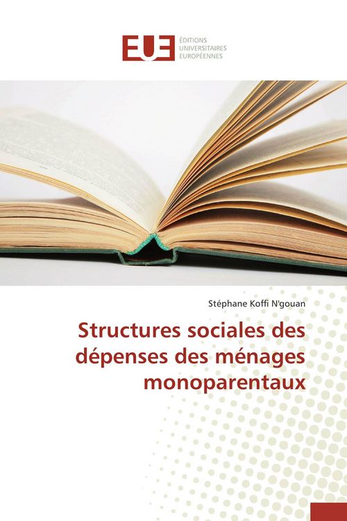 Produktbild: Structures sociales des d&eacute;penses des m&eacute;nages monoparentaux