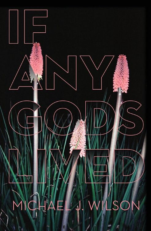 Produktbild: If Any Gods Lived