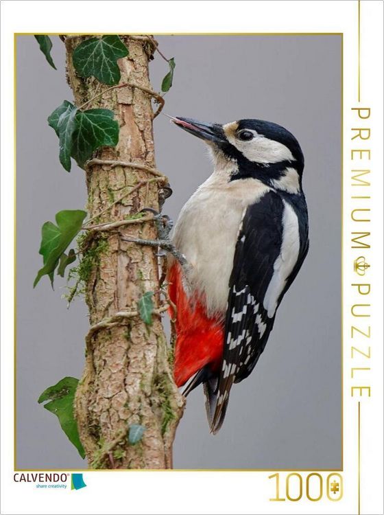 Produktbild: CALVENDO Puzzle Buntspecht | 1000 Teile Lege-Gr&ouml;&szlig;e 64x48cm Foto-Puzzle f&uuml;r gl&uuml;ckliche Stunden