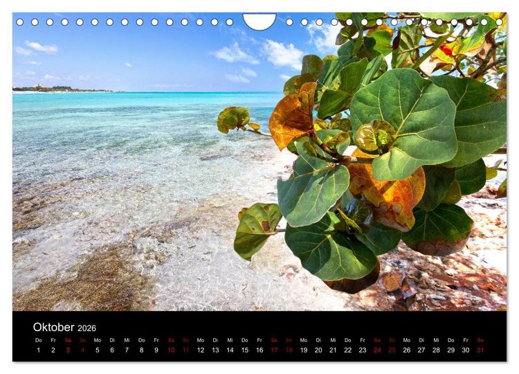 Produktbild: Kuba Varadero 2026 Leben im Paradies (Wandkalender 2026 DIN A4 quer), CALVENDO Monatskalender