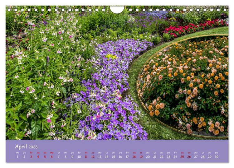 Produktbild: Erfurt erbl&uuml;ht (Wandkalender 2026 DIN A4 quer), CALVENDO Monatskalender