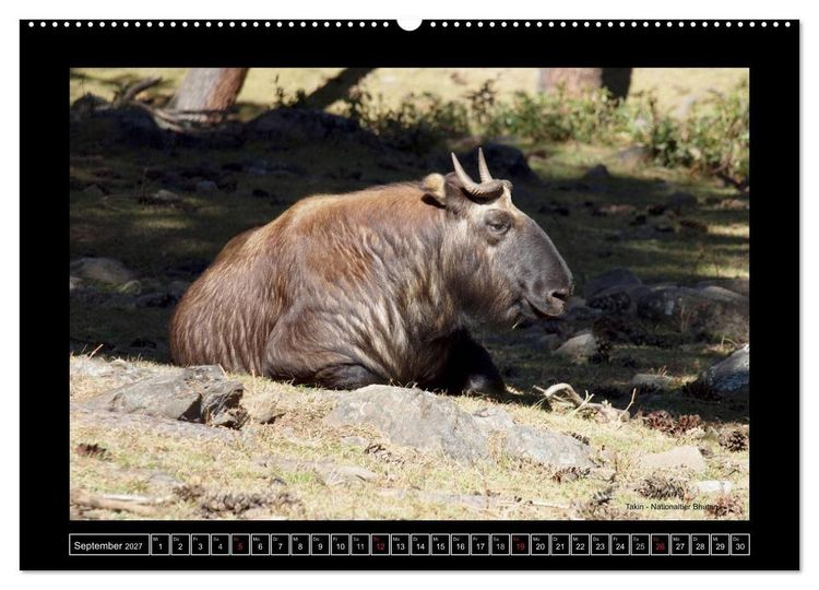 Produktbild: Bhutan Druk Yul 2027 (hochwertiger Premium Wandkalender 2027 DIN A2 quer), Kunstdruck in Hochglanz