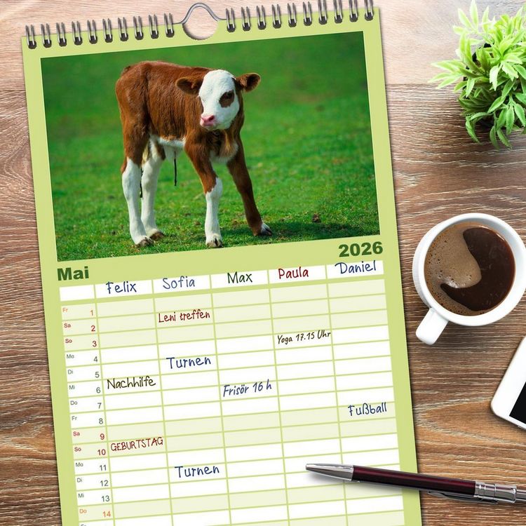 Produktbild: Familienplaner 2026 - Rinder auf dem Lande mit 5 Spalten (Wandkalender, 21 x 45 cm) CALVENDO