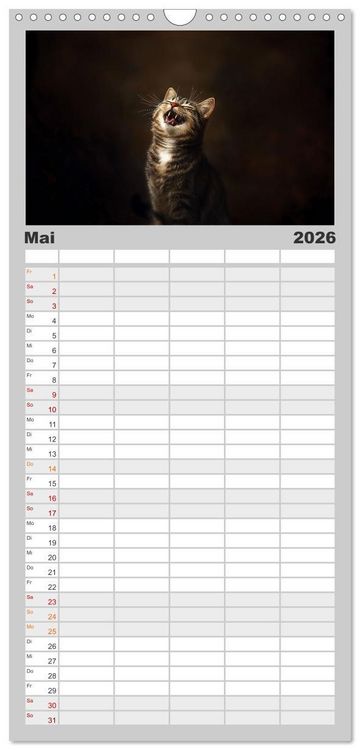Produktbild: Familienplaner 2026 - Auch Katzen lachen gern mit 5 Spalten (Wandkalender, 21 x 45 cm) CALVENDO