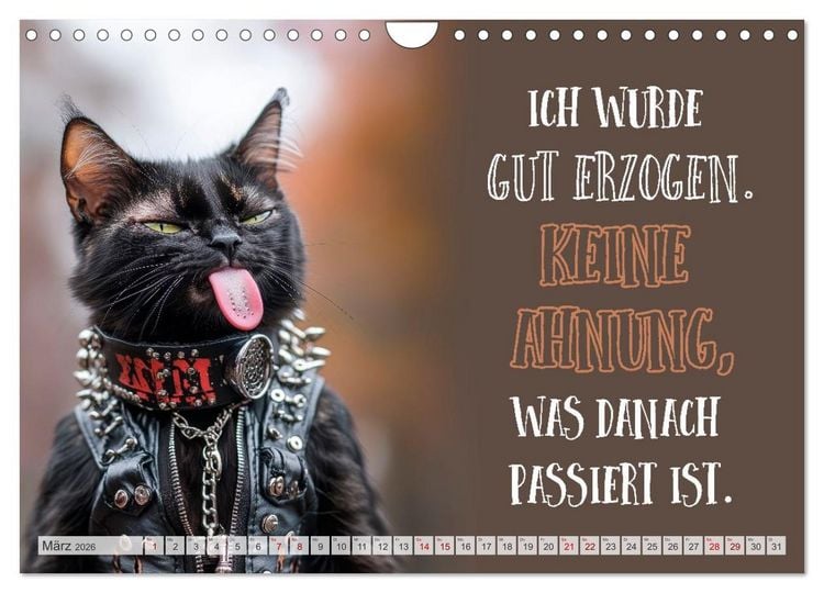 Produktbild: Schnurrige Gl&uuml;ckw&uuml;nsche - Spr&uuml;che zum &Auml;lterwerden (Wandkalender 2026 DIN A4 quer), CALVENDO Monatskalender