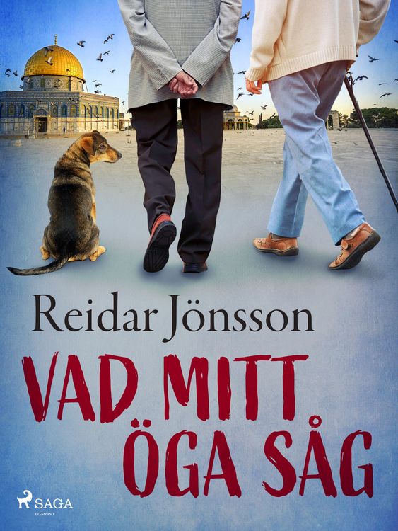 Produktbild: Vad mitt &ouml;ga s&aring;g