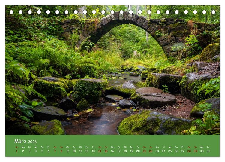 Produktbild: Wassertr&auml;ume im Schwarzwald (Tischkalender 2026 DIN A5 quer), CALVENDO Monatskalender