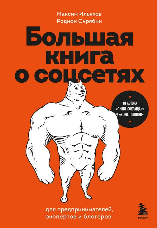 Produktbild: Bolshaya kniga o sotssetyah dlya predprinimateley, ekspertov i blogerov