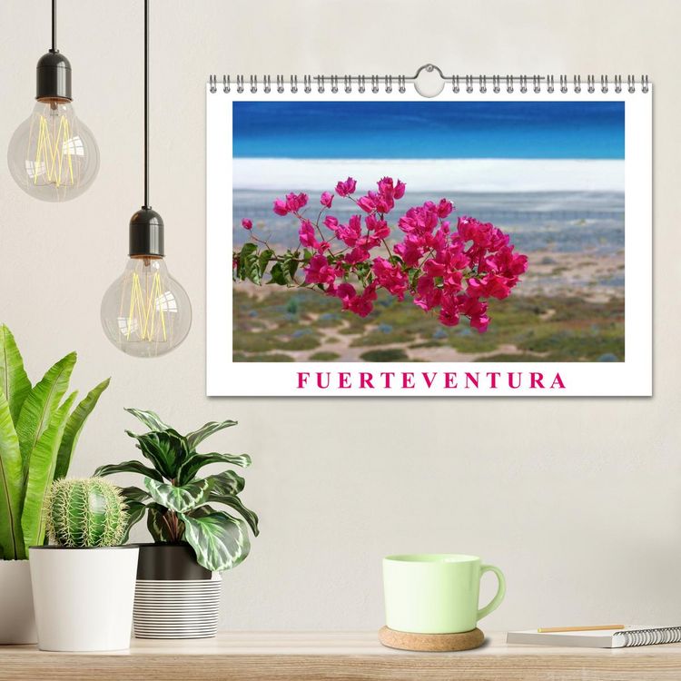 Produktbild: Fuerteventura (Wandkalender 2026 DIN A4 quer), CALVENDO Monatskalender