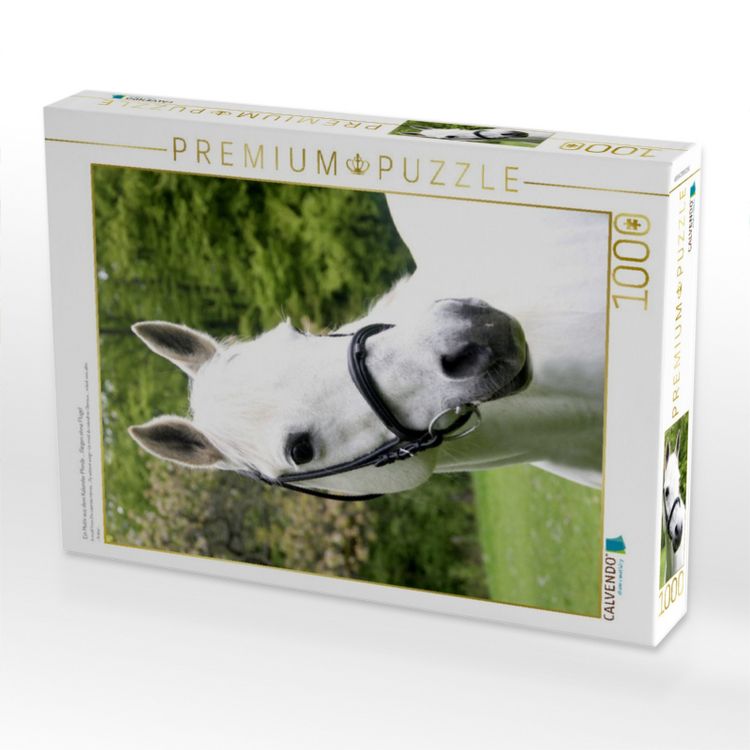 Produktbild: CALVENDO Puzzle Ein Motiv aus dem Kalender Pferde ... fliegen ohne Fl&uuml;gel | 1000 Teile Lege-Gr&ouml;&szlig;e 64x48cm Foto-Puzzle f&uuml;r gl&uuml;ckliche Stunden