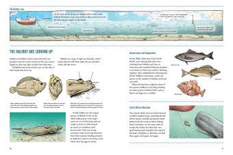 Produktbild: Working Boats