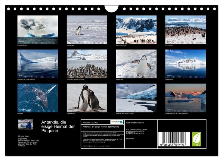 Produktbild: Antarktis, die eisige Heimat der Pinguine (Wandkalender 2026 DIN A4 quer), CALVENDO Monatskalender