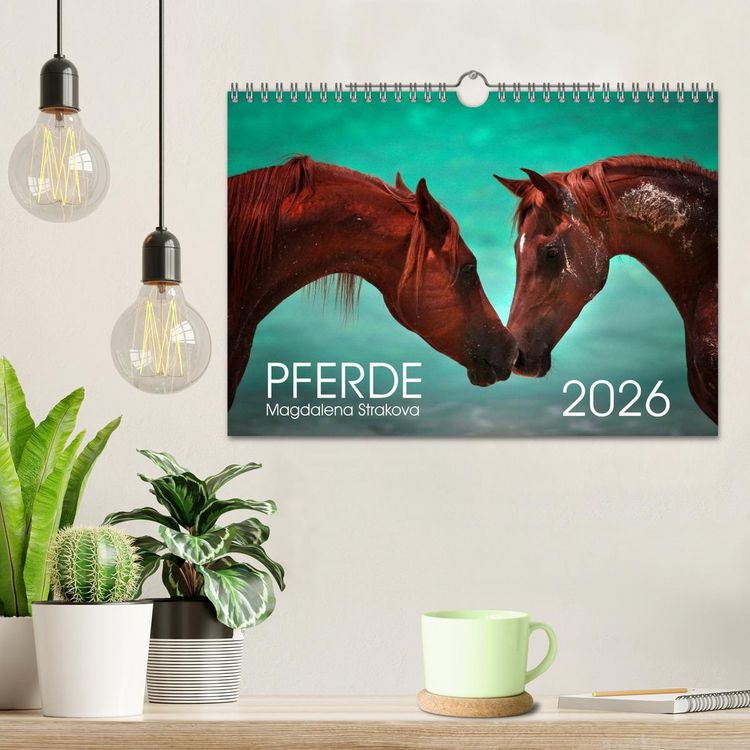 Produktbild: Pferde - Magdalena Strakova (Wandkalender 2026 DIN A4 quer), CALVENDO Monatskalender
