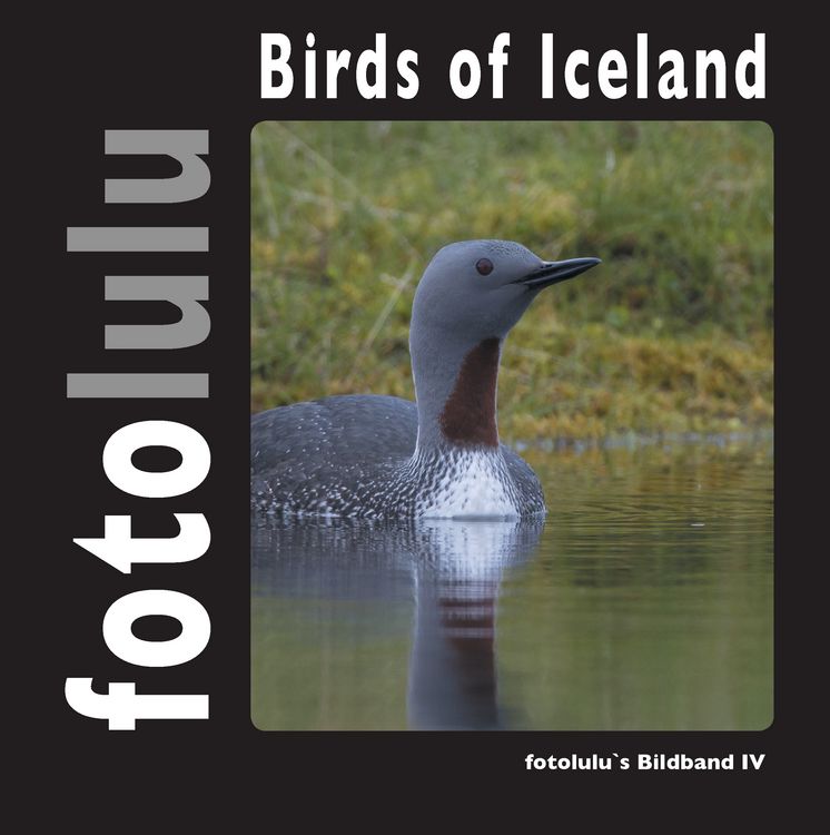 Produktbild: Birds of Iceland