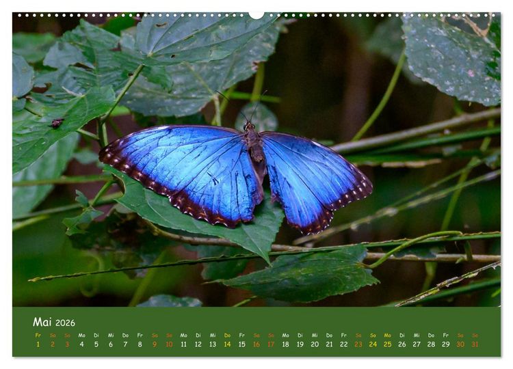 Produktbild: Costa Rica - Naturparadies zwischen Karibik und Pazifik (Wandkalender 2026 DIN A2 quer), CALVENDO Monatskalender