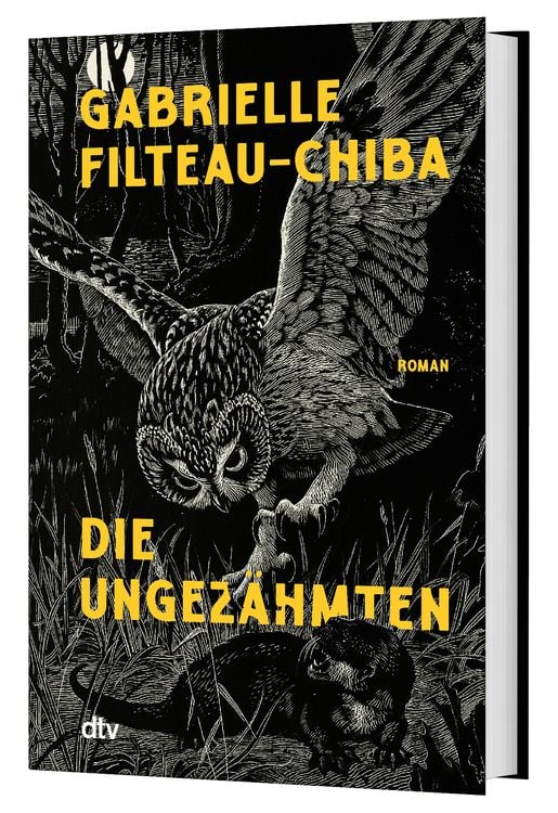Produktbild: Die Ungez&auml;hmten