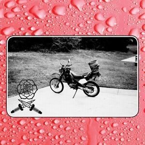 Produktbild: Say I Won't