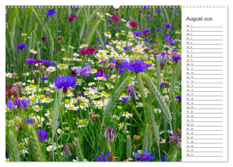 Produktbild: Blumenfreude Terminkalender (Wandkalender 2026 DIN A2 quer), CALVENDO Monatskalender