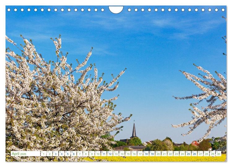 Produktbild: K&ouml;ln Widdersdorf - Bl&uuml;tentr&auml;ume und l&auml;ndliche Idylle (Wandkalender 2026 DIN A4 quer), CALVENDO Monatskalender
