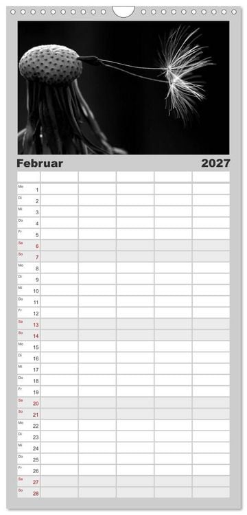 Produktbild: Familienplaner 2027 - Pusteblume - Impressionen in schwarzwei&szlig; mit 5 Spalten (Wandkalender, 21 x 45 cm) CALVENDO