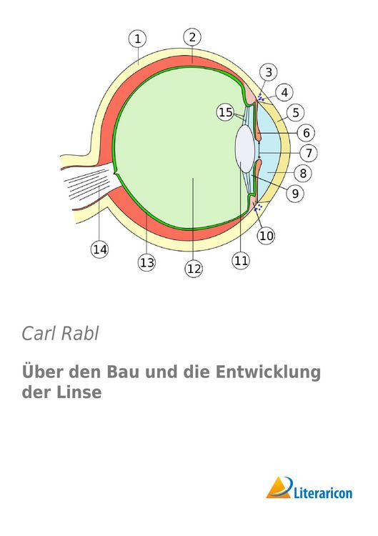 Produktbild: &Uuml;ber den Bau und die Entwicklung der Linse