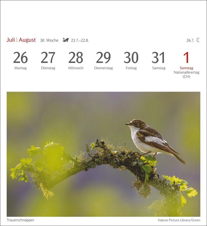 Produktbild: Heimische V&ouml;gel Postkartenkalender 2027 - Wochenkalender mit 53 Postkarten
