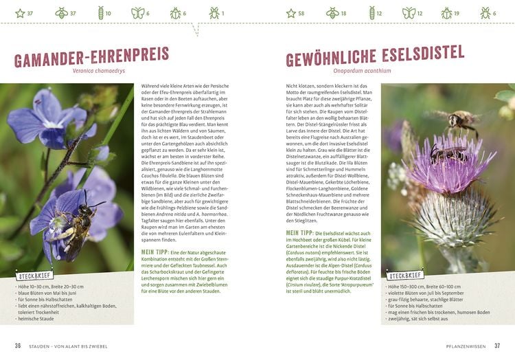 Produktbild: Richtig gute Pflanzen für Insekten