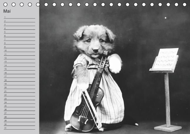 Produktbild: Katzen und Hunde - Nostalgie auf Pfoten (Tischkalender immerw&auml;hrend DIN A5 quer)