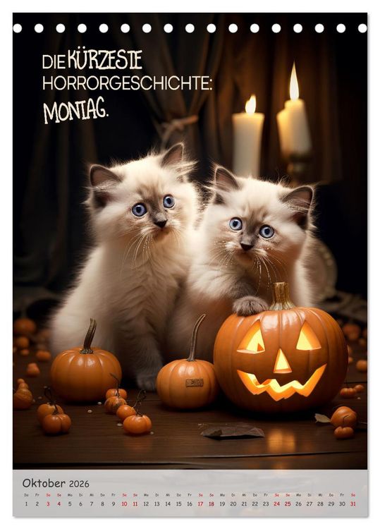 Produktbild: COOLE KATZEN Spr&uuml;cheklopfer (Tischkalender 2026 DIN A5 hoch), CALVENDO Monatskalender