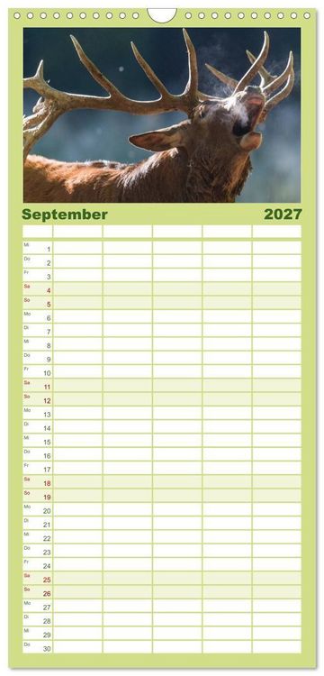 Produktbild: Familienplaner 2027 - Emotionale Momente: Wild und Jagd. mit 5 Spalten (Wandkalender, 21 x 45 cm) CALVENDO