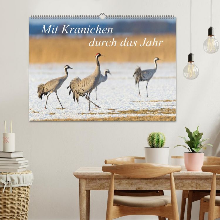 Produktbild: Mit Kranichen durch das Jahr (Wandkalender 2026 DIN A2 quer), CALVENDO Monatskalender