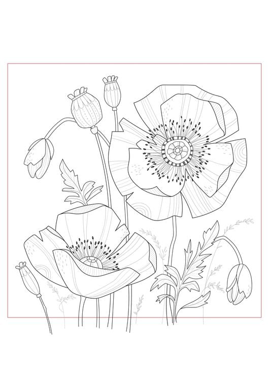 Produktbild: Pia Pedevilla - Bl&uuml;tentr&auml;ume