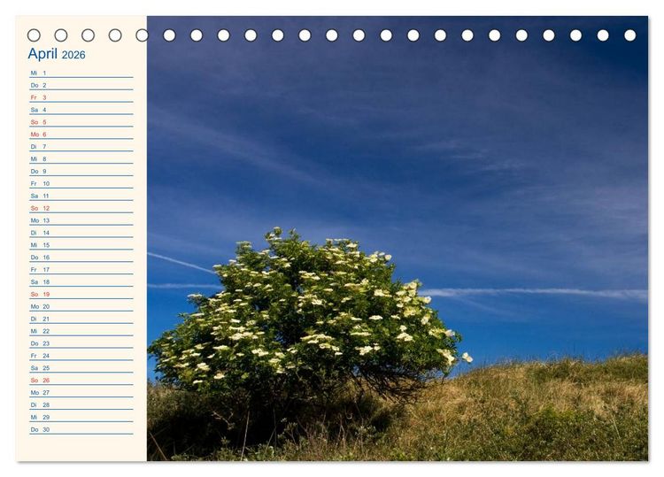 Produktbild: Urlaub auf Borkum (Tischkalender 2026 DIN A5 quer), CALVENDO Monatskalender