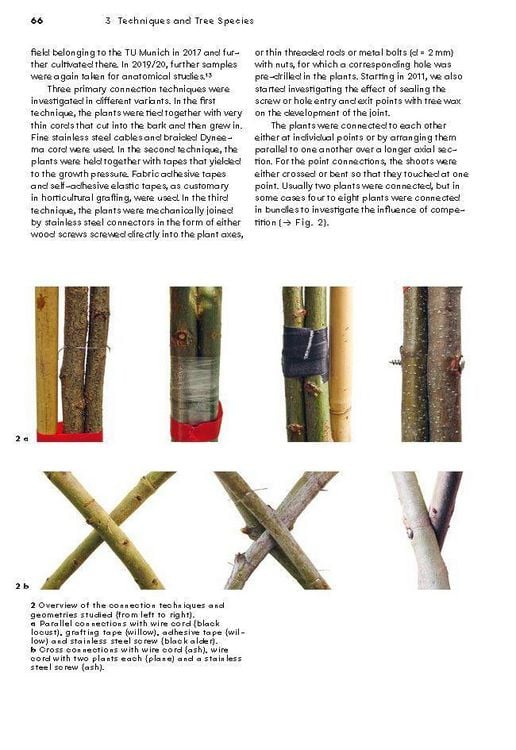 Produktbild: Growing Architecture