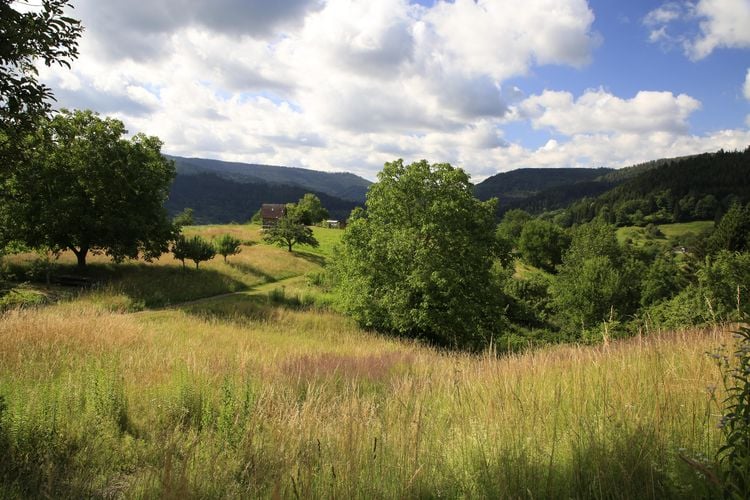 Produktbild: Wanderparadies Schwarzwald