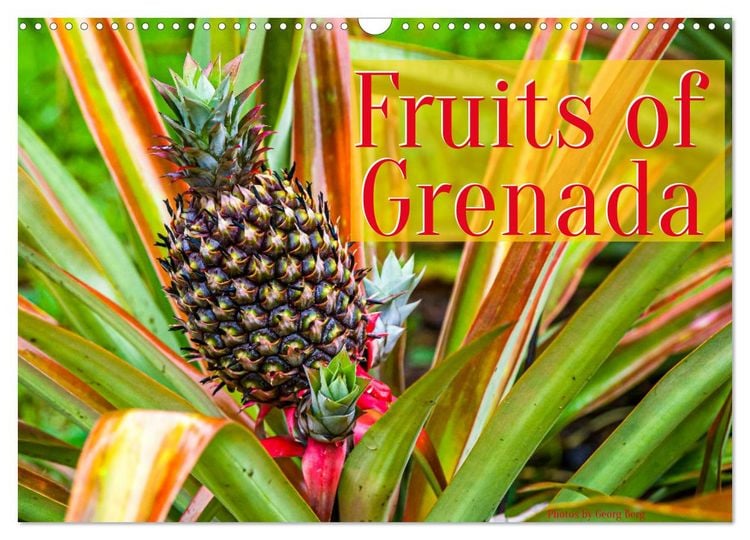 Produktbild: Fruits of Grenada (Wall Calendar 2026 DIN A3 landscape), CALVENDO 12 Month Wall Calendar