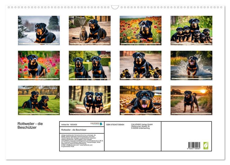 Produktbild: Rottweiler - die Besch&uuml;tzer (Wandkalender 2026 DIN A2 quer), CALVENDO Monatskalender