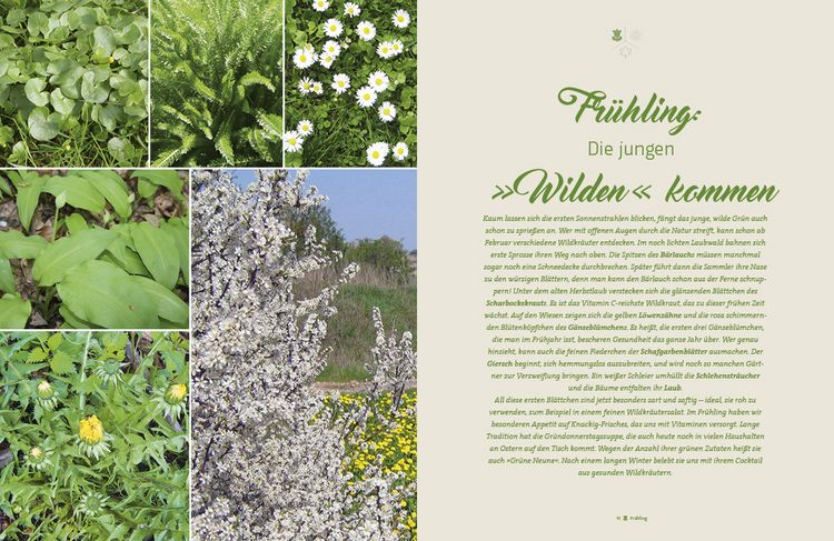 Produktbild: Fr&auml;nkisch kochen mit wilden Kr&auml;utern
