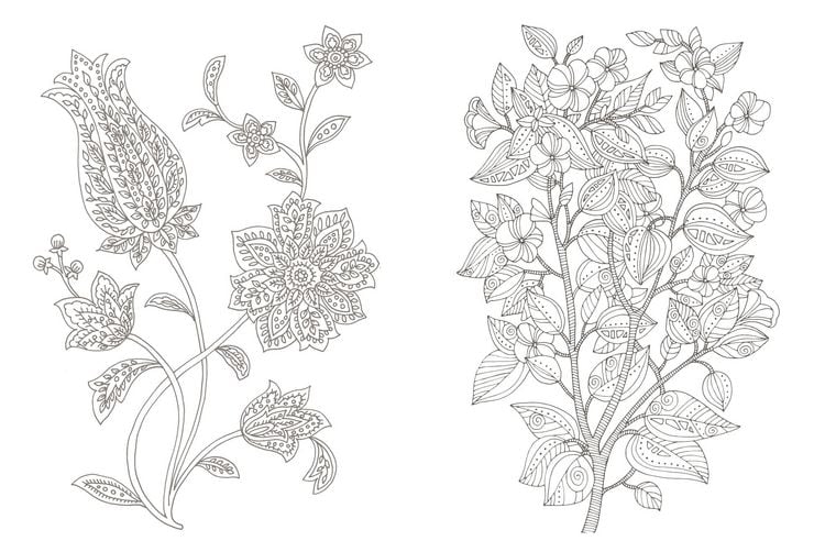 Produktbild: Colorful Mandala &ndash; Botanischer Garten