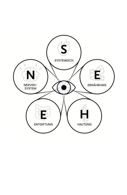 Produktbild: Das S.E.H.E.N. Prinzip.