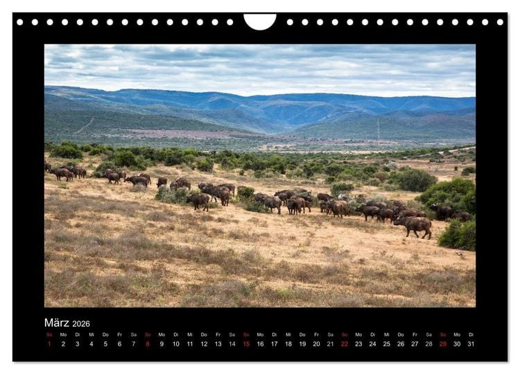 Produktbild: S&uuml;dafrika - Garden Route (Wandkalender 2026 DIN A4 quer), CALVENDO Monatskalender