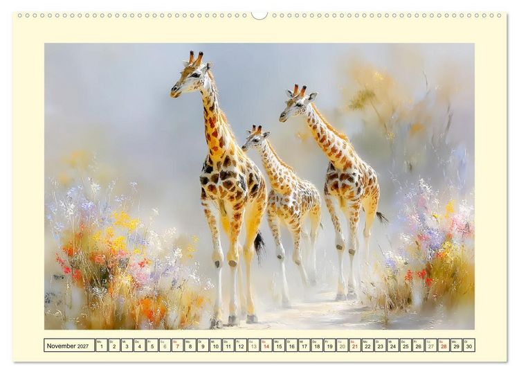 Produktbild: Giraffen. Anmut in weiter Landschaft (Wandkalender 2027 DIN A2 quer), CALVENDO Monatskalender