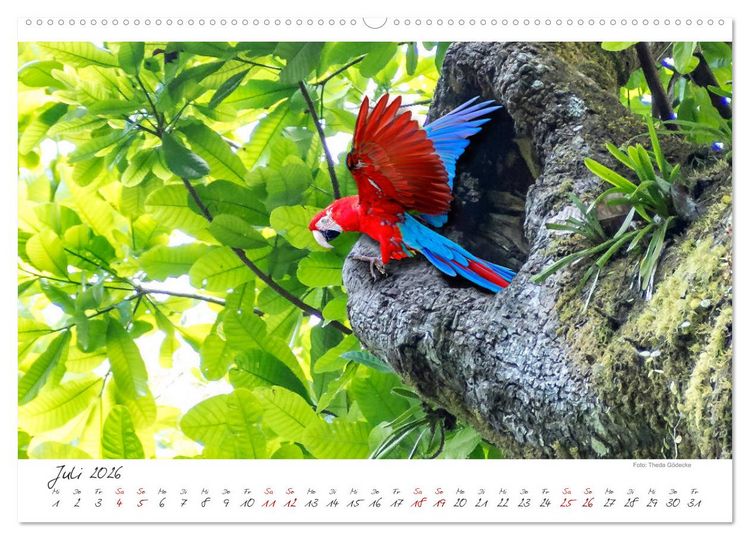 Produktbild: Natur pur, Costa Rica (hochwertiger Premium Wandkalender 2026 DIN A2 quer), Kunstdruck in Hochglanz