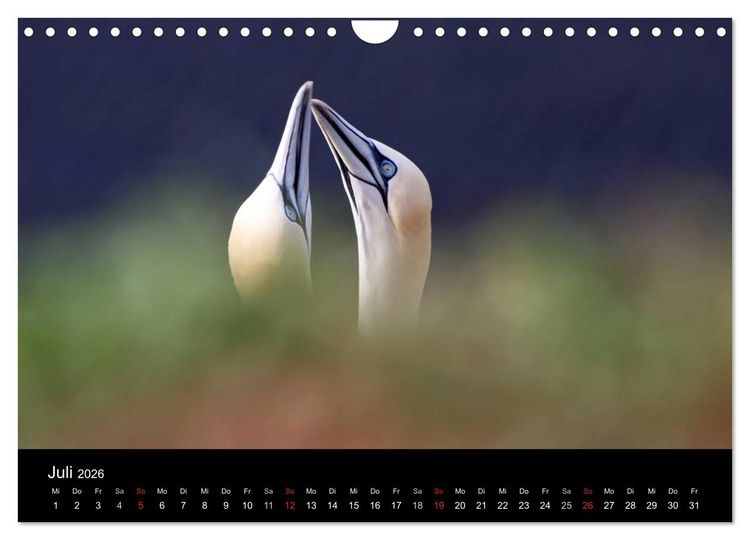 Produktbild: Helgoland (Wandkalender 2026 DIN A4 quer), CALVENDO Monatskalender