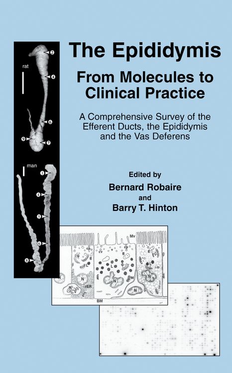 Produktbild: The Epididymis: From Molecules to Clinical Practice