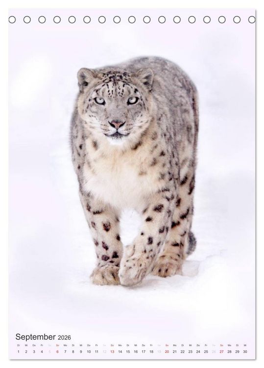 Produktbild: Tiere in Wei&szlig; (Tischkalender 2026 DIN A5 hoch), CALVENDO Monatskalender