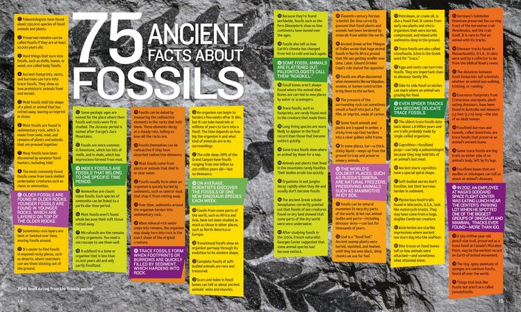 Produktbild: 1,000 Facts about Dinosaurs, Fossils, and Prehistoric Life